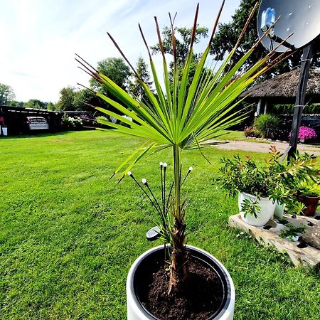 Bursztynek Lunowa Apartment ชวีโนวิชแจ ภายนอก รูปภาพ