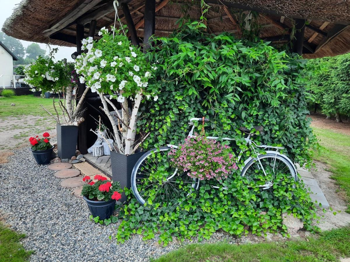 Bursztynek Lunowa Apartment ชวีโนวิชแจ ภายนอก รูปภาพ