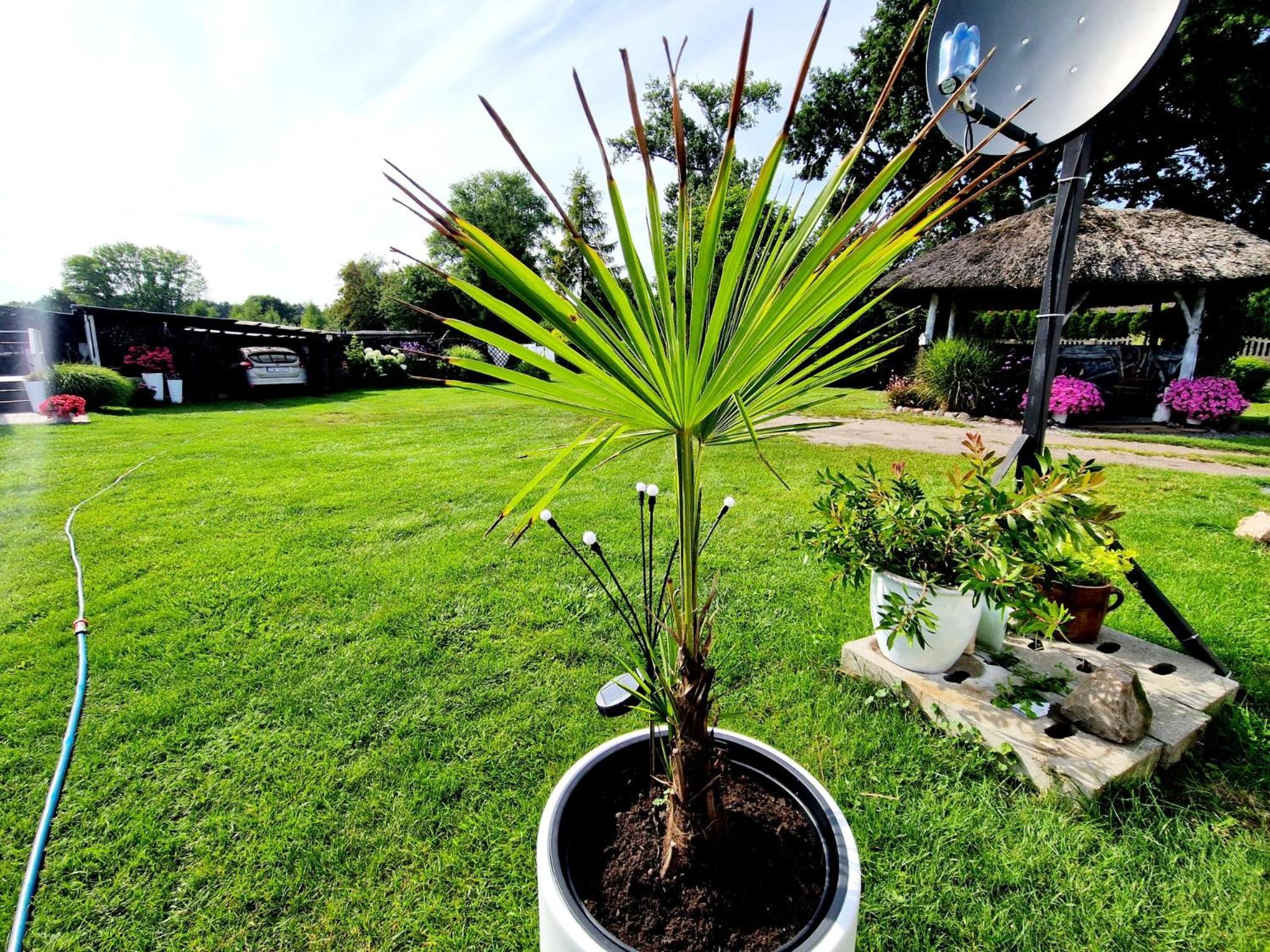 Bursztynek Lunowa Apartment ชวีโนวิชแจ ภายนอก รูปภาพ